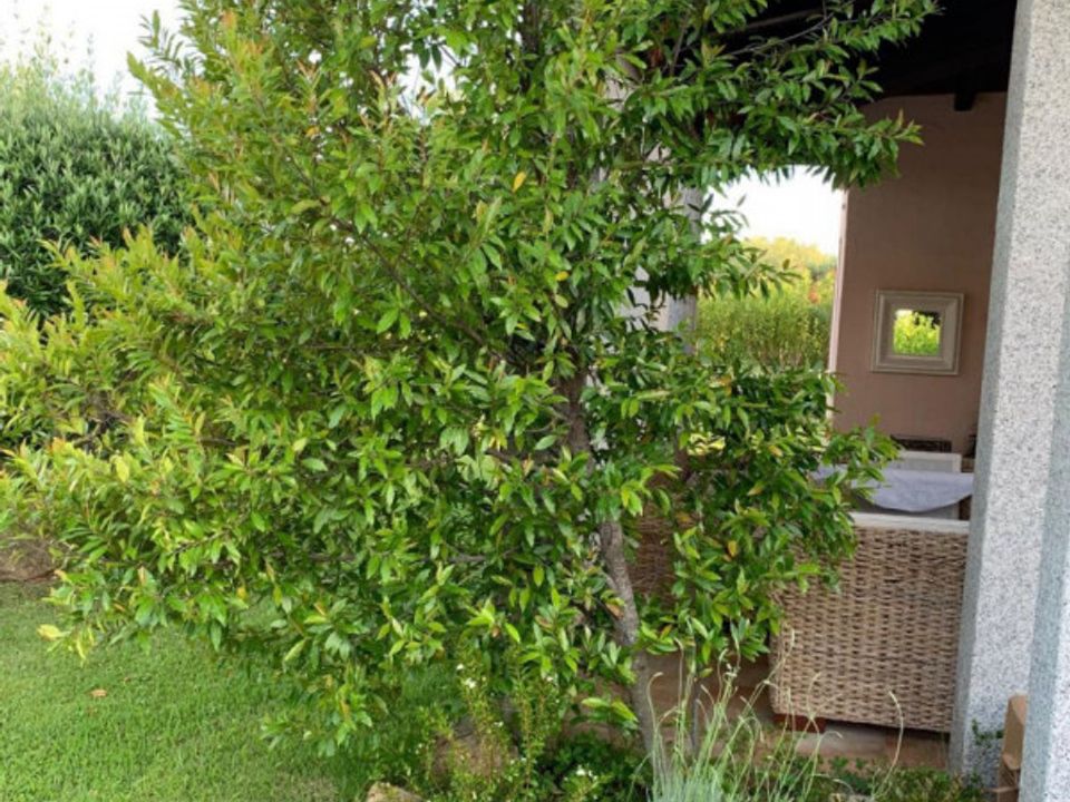 Villa i San Teodoro, Sassari - foto 4