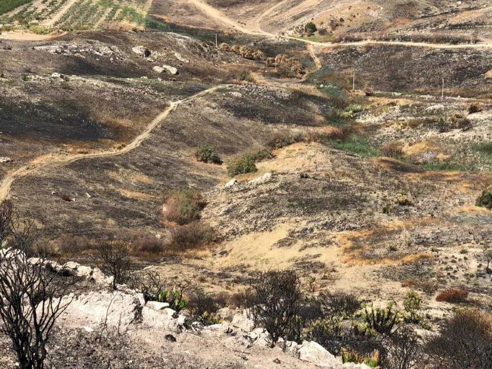 Terra a Siculiana, Agrigento - foto 5