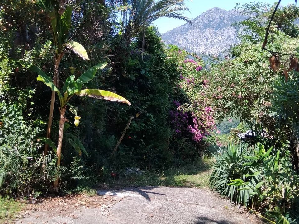 Landejendom i Menton, Alpes-Maritimes - foto 1