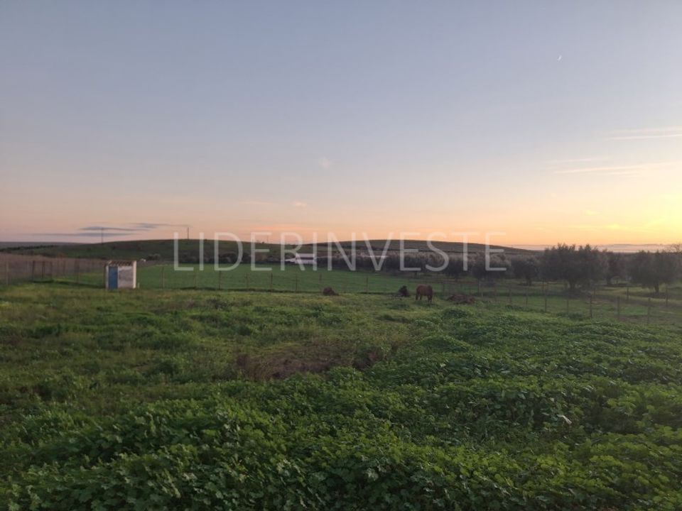 Terra em Beja, Beja - foto 1