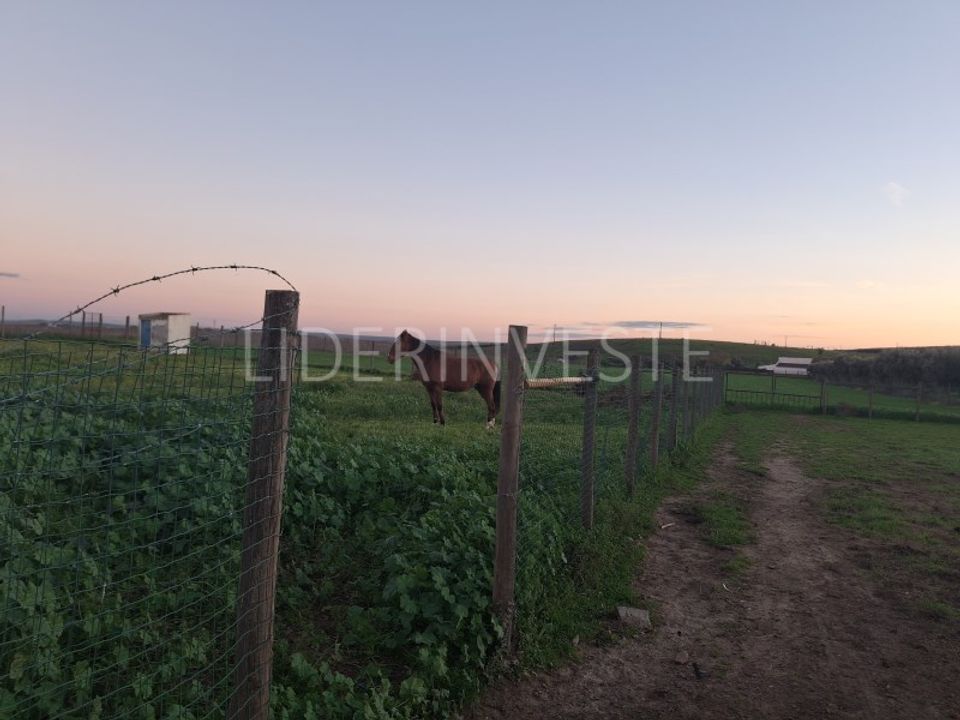 Terra em Beja, Beja - foto 3