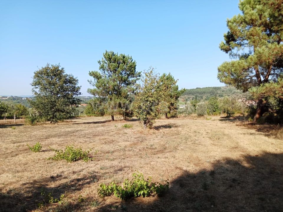 Helårsgrund i Mangualde, Viseu - foto 1