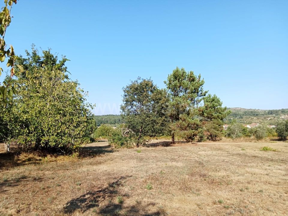 Helårsgrund i Mangualde, Viseu - foto 2