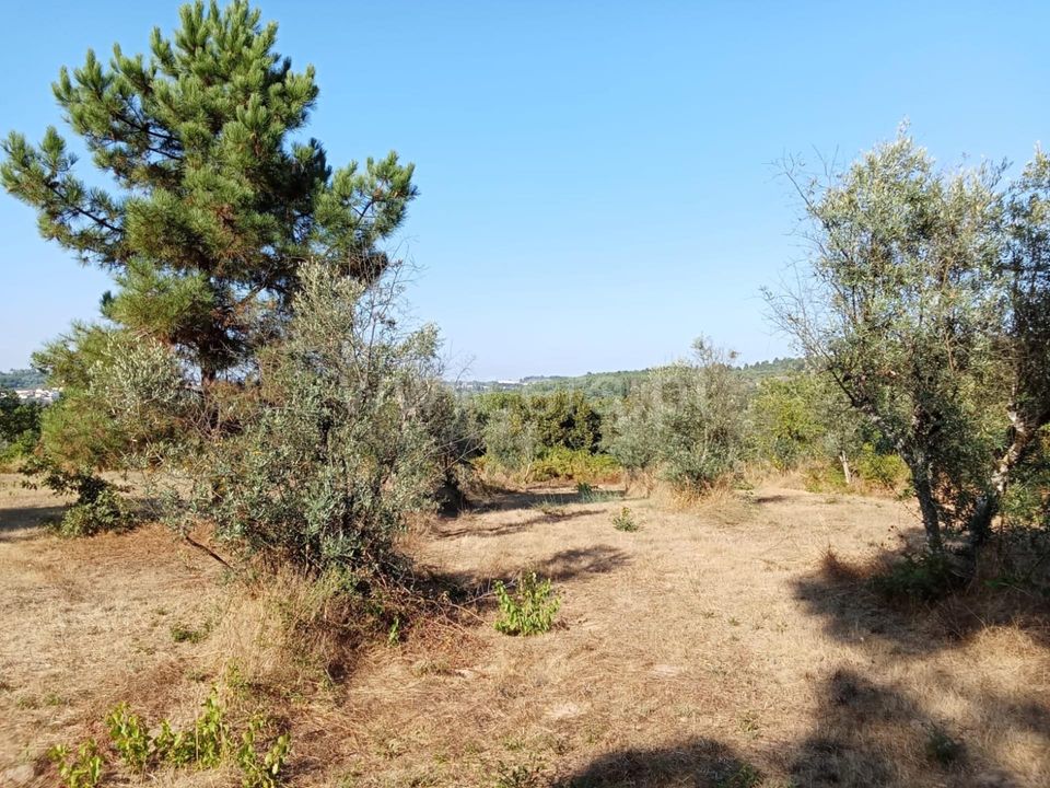 Helårsgrund i Mangualde, Viseu - foto 3