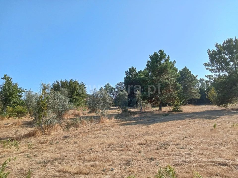 Helårsgrund i Mangualde, Viseu - foto 4
