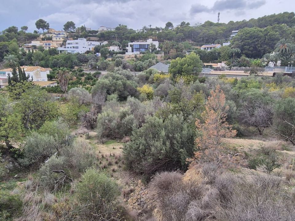 Terra a Altea, Alicante - foto 2