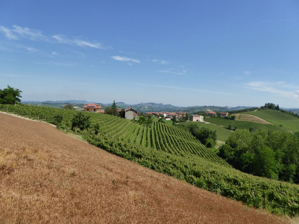 Villa i Dogliani, Cuneo - bilde 1