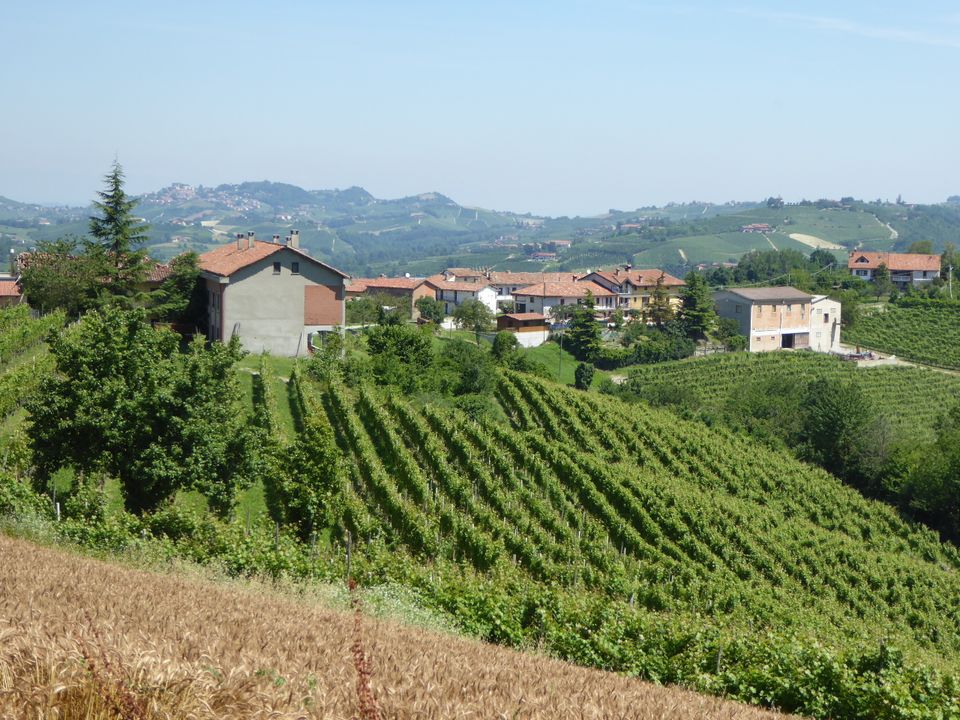 Villa i Dogliani, Cuneo - bilde 4