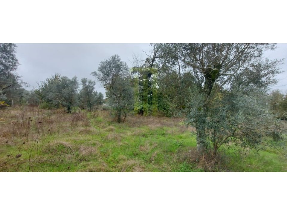 Helårsgrund i Oliveira do Hospital, Coimbra - foto 4