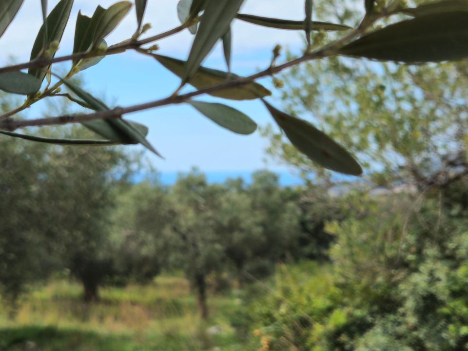 Villa i Camerota, Salerno - foto 3