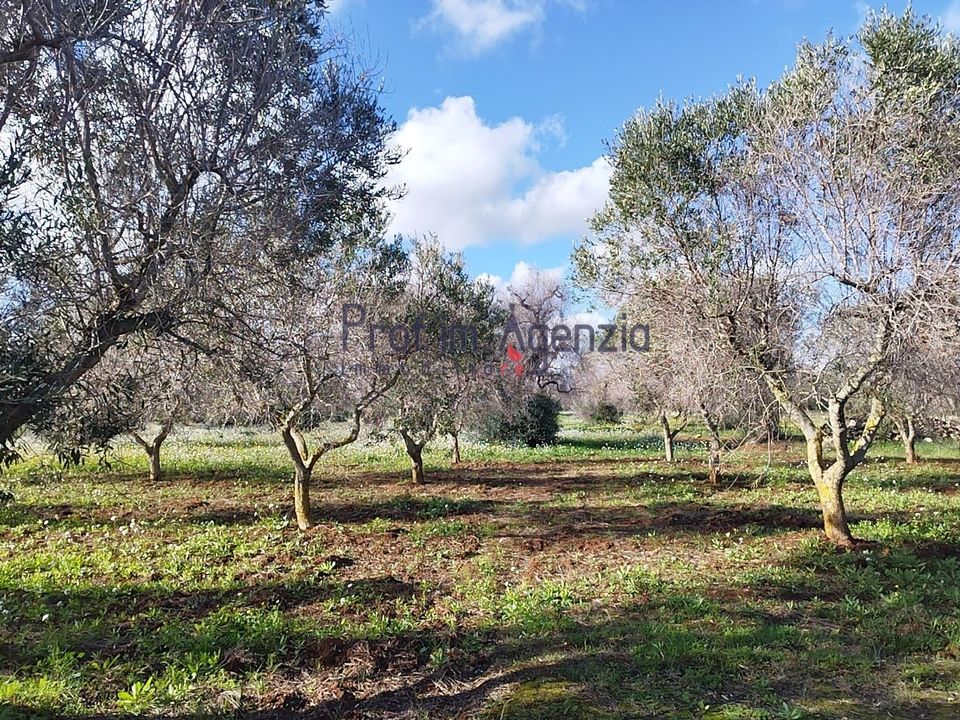Helårsgrund i Carovigno, Brindisi - foto 5