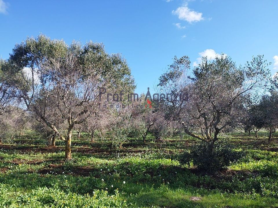 Helårsgrund i Carovigno, Brindisi - foto 2