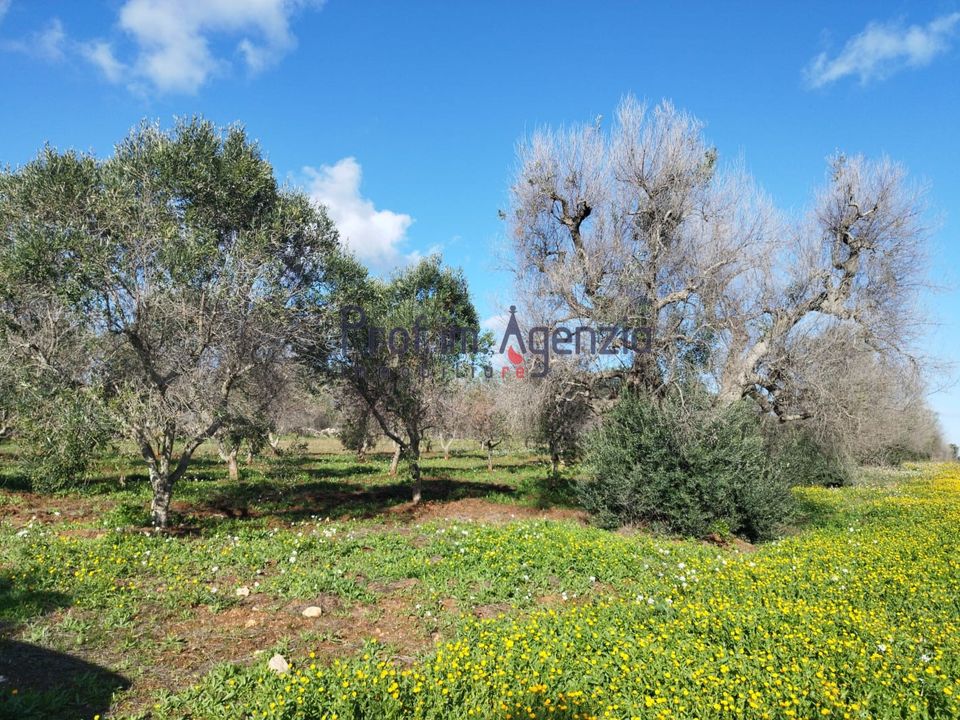 Helårsgrund i Carovigno, Brindisi - foto 1