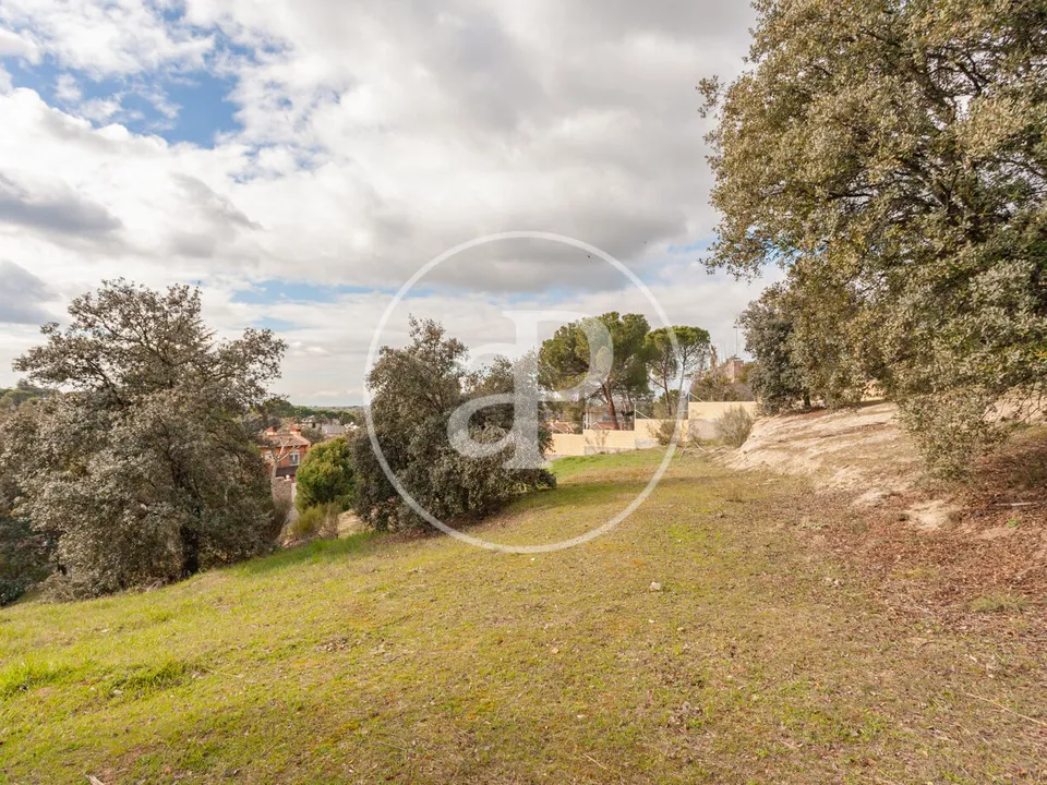 Helårsgrund i Villaviciosa De Odon, Madrid - foto 1