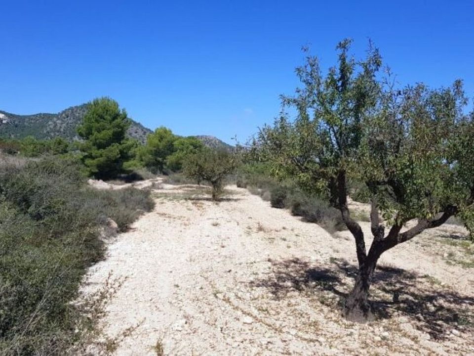 Grond in Monovar, Alicante - foto 3