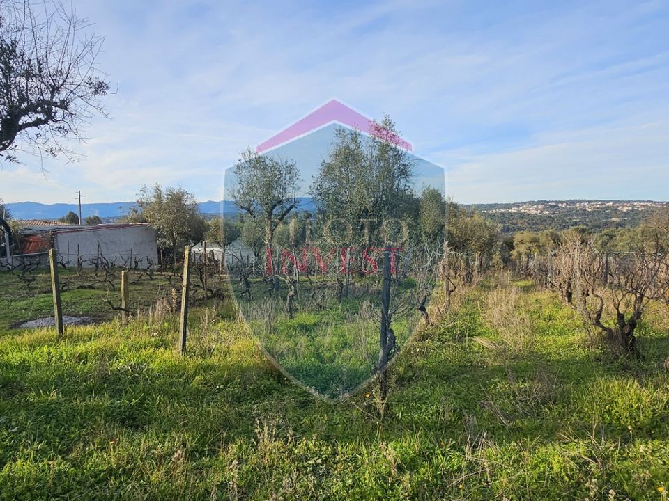 Helårsgrund i Viseu, Viseu - foto 4