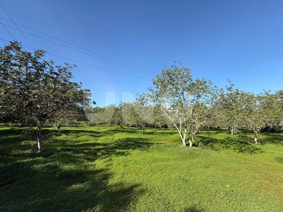 Helårsgrund i Quarteira, Faro - foto 2