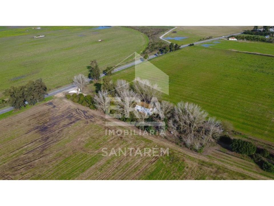 Farm i Benfica do Ribatejo, Santarem - foto 2