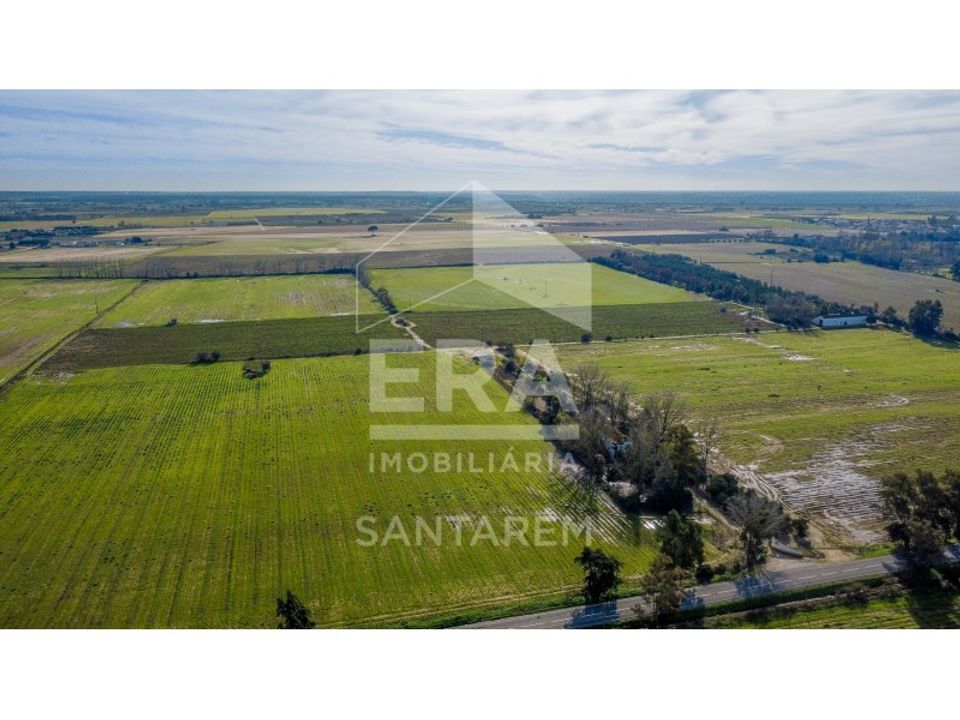 Farm i Benfica do Ribatejo, Santarem - foto 3