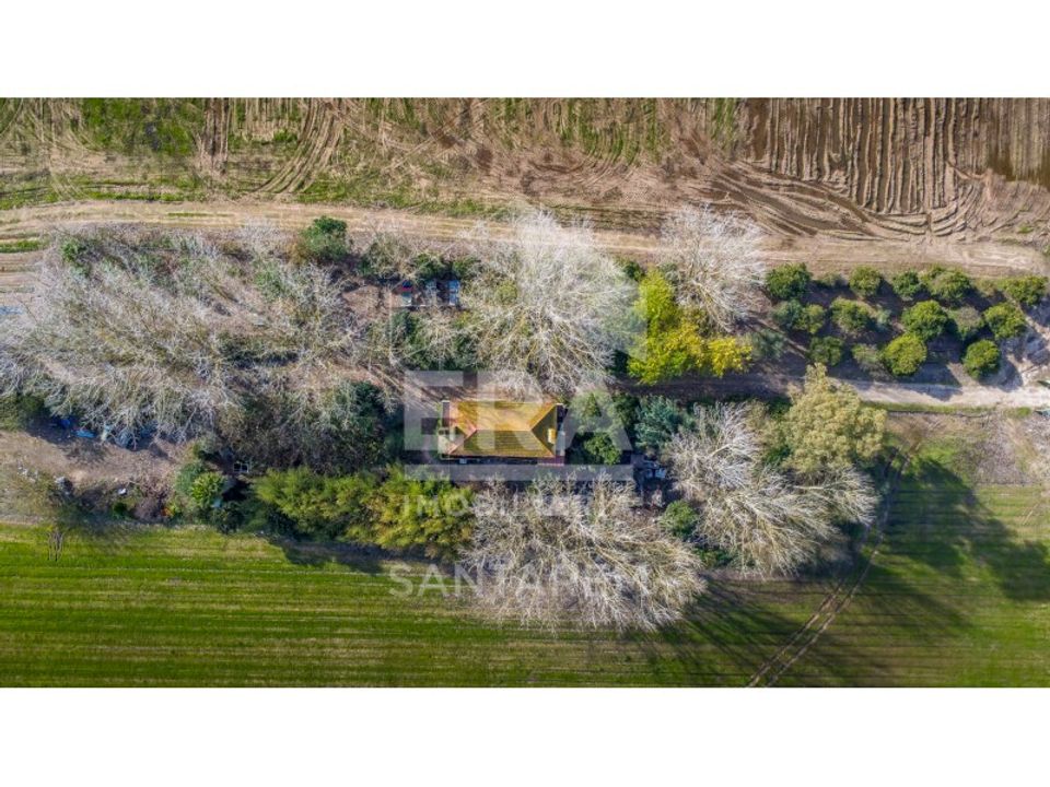 Farm i Benfica do Ribatejo, Santarem - foto 4