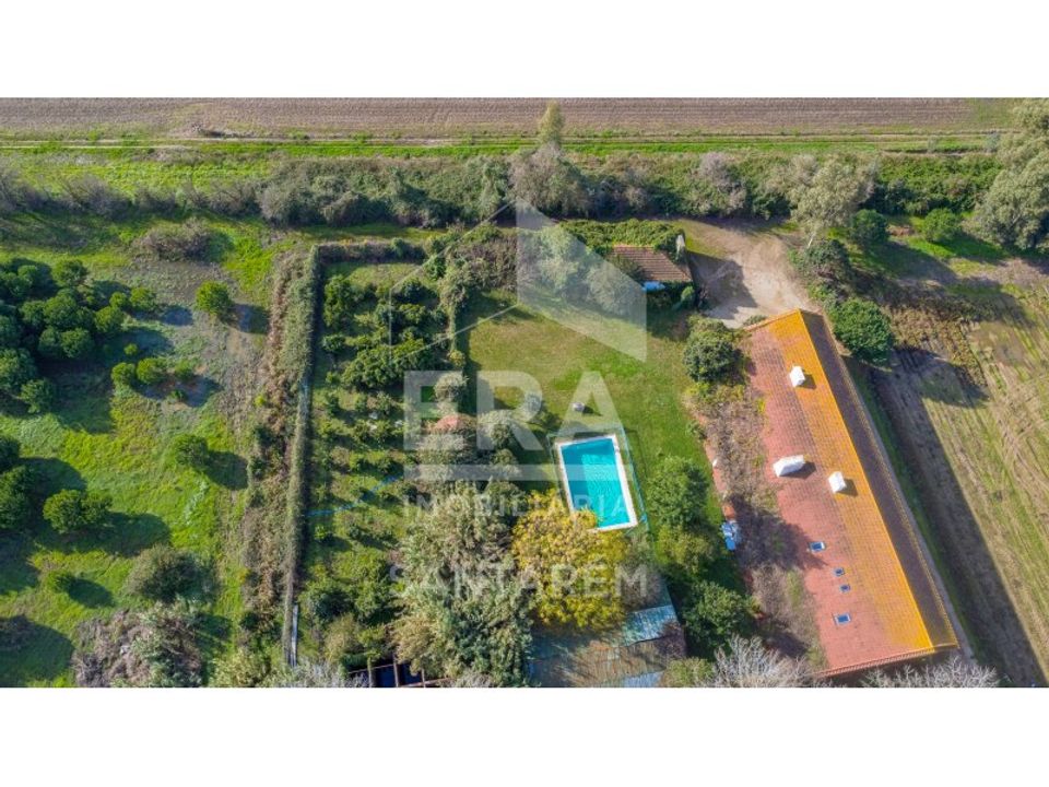 Farm i Benfica do Ribatejo, Santarem - foto 5