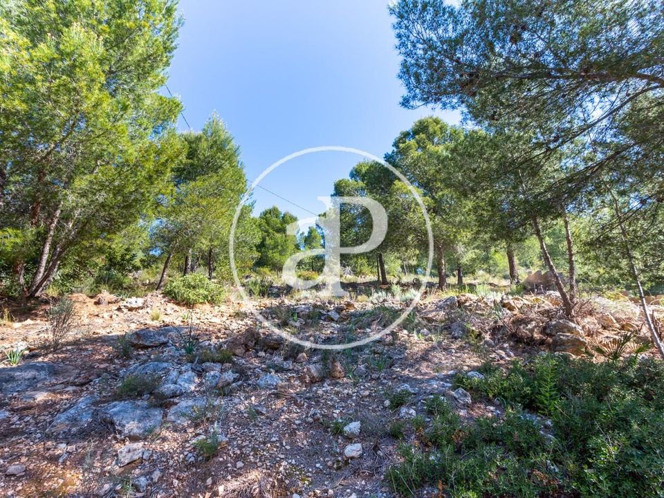 Helårsgrund i Olocau, Valencia - foto 4