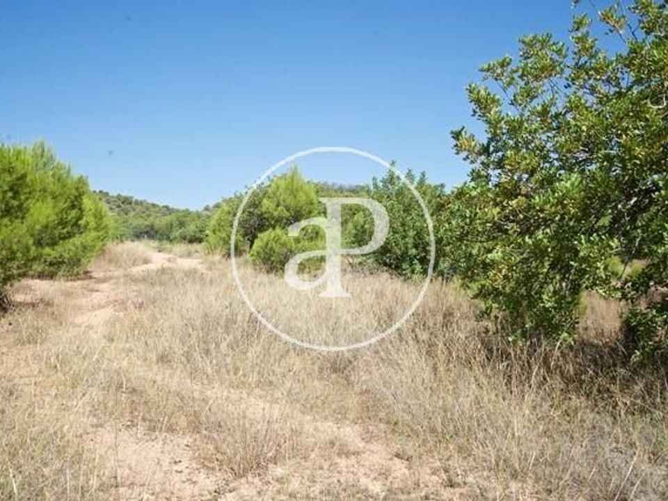 Helårsgrund i Olocau, Valencia - foto 3