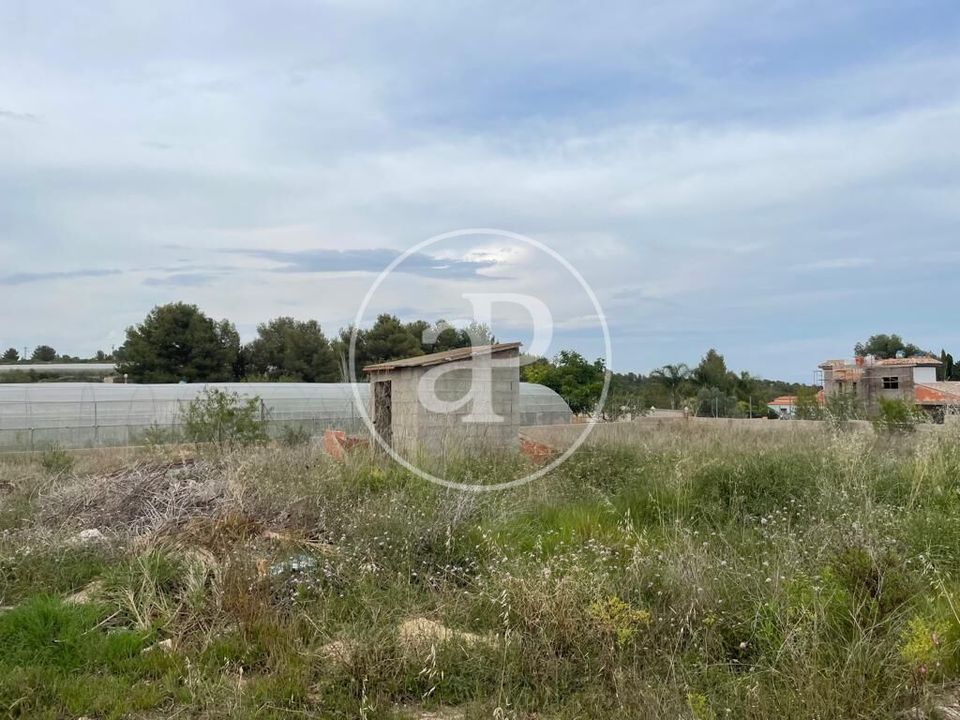 Helårsgrund i Turis, Valencia - foto 4