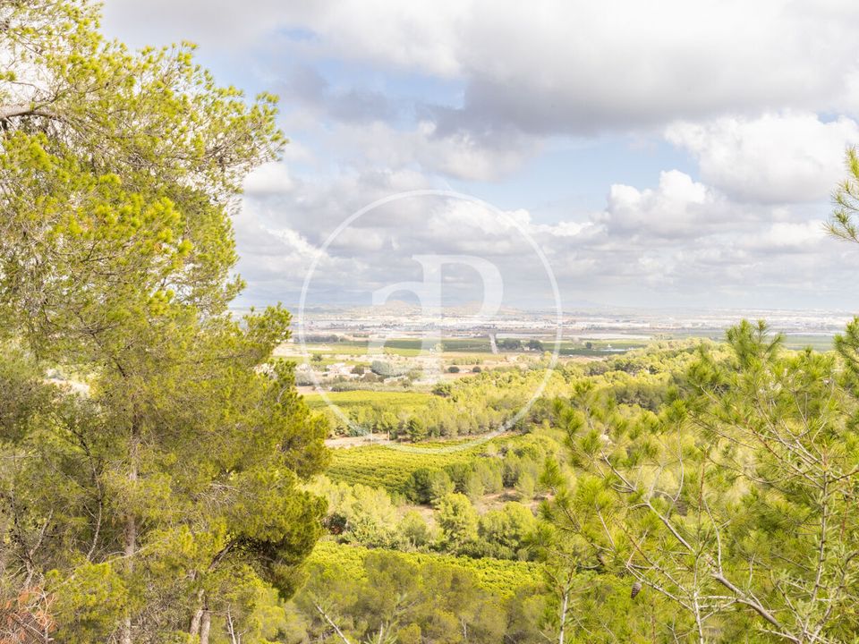 Helårsgrund i Chiva, Valencia - foto 2