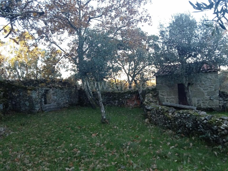 Landejendom i Castelo Branco, Castelo Branco - foto 2