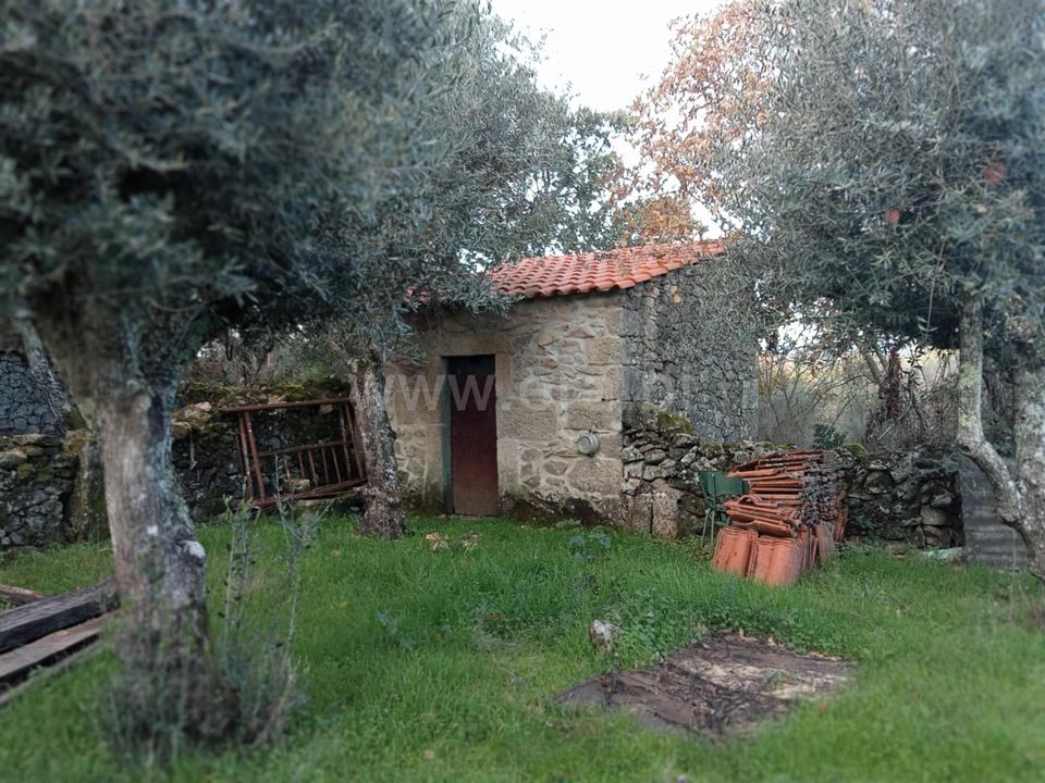 Landejendom i Castelo Branco, Castelo Branco - foto 3