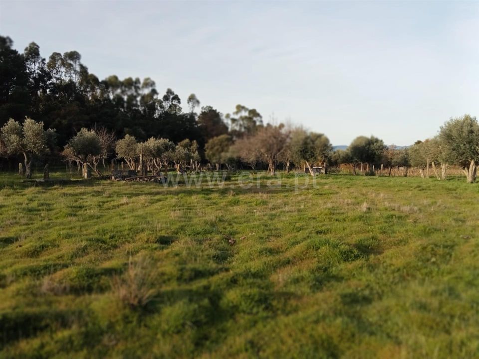 Landejendom i Castelo Branco, Castelo Branco - foto 4