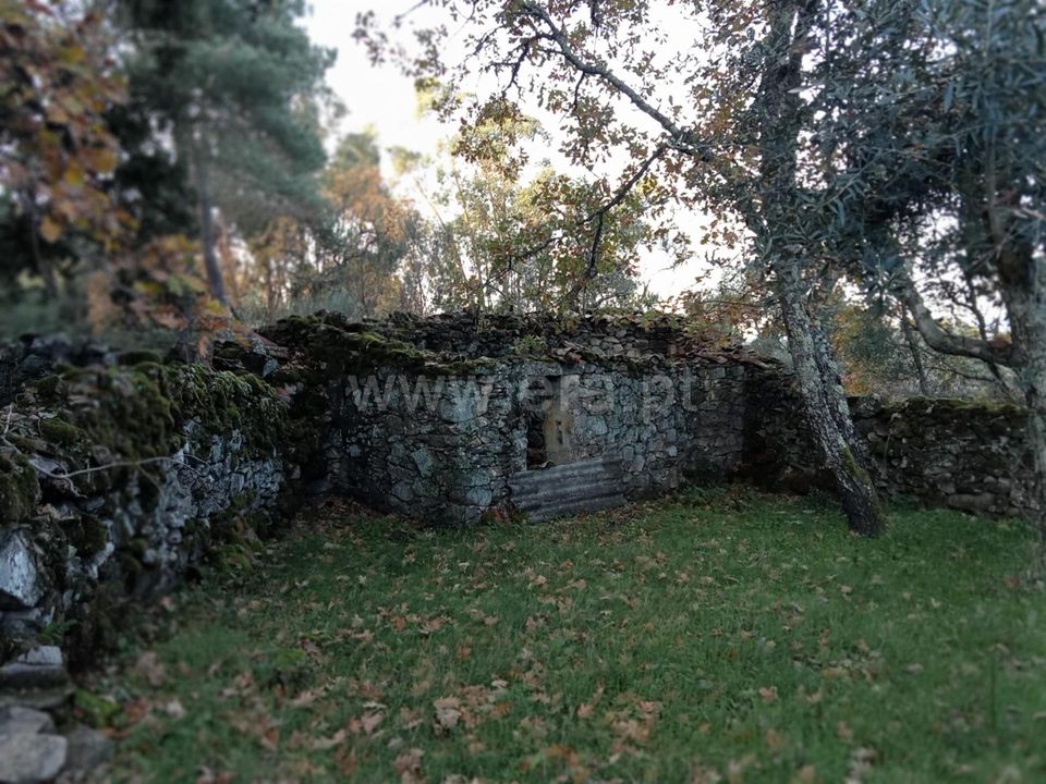 Landejendom i Castelo Branco, Castelo Branco - foto 5
