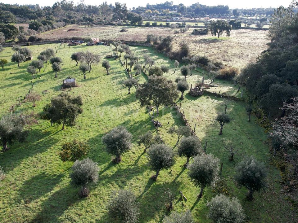 Landejendom i Castelo Branco, Castelo Branco - foto 1