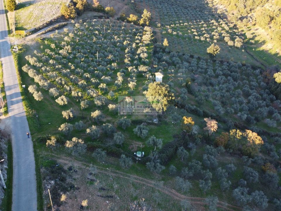 Farm i Alfandega da Fe, Braganca - foto 2
