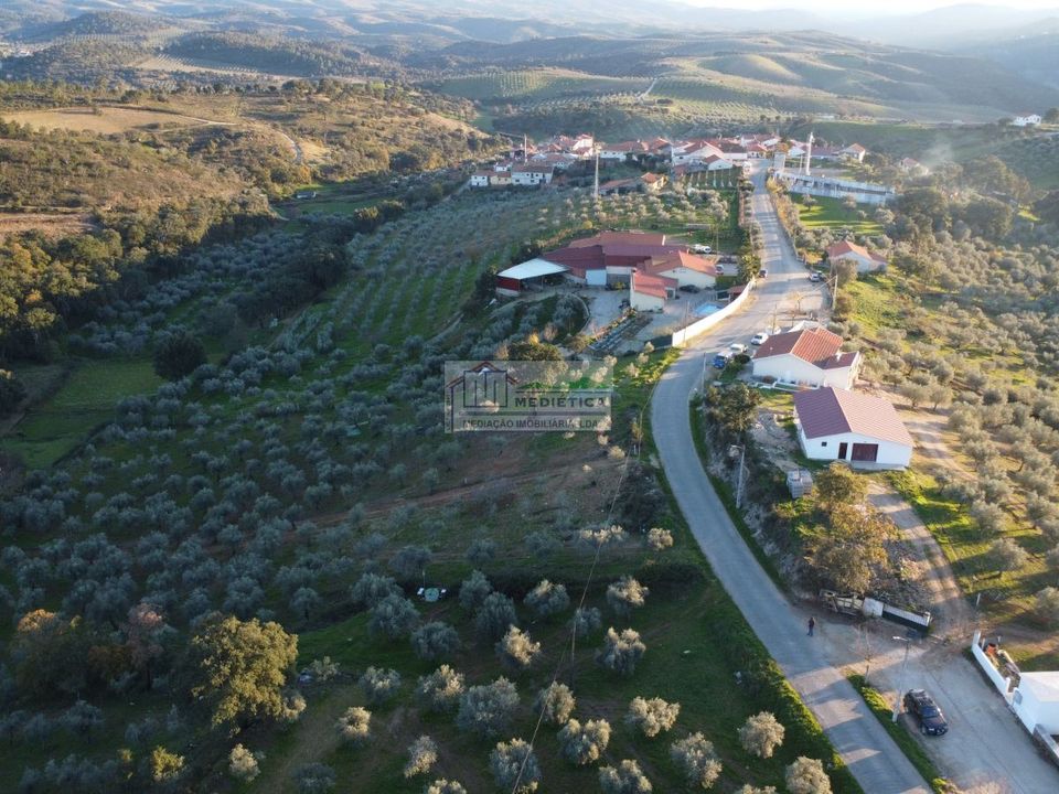 Farm i Alfandega da Fe, Braganca - foto 3