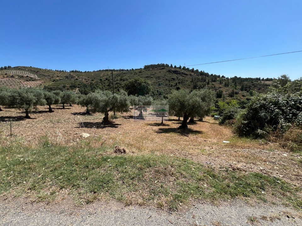 Farm i Alfandega da Fe, Braganca - foto 4