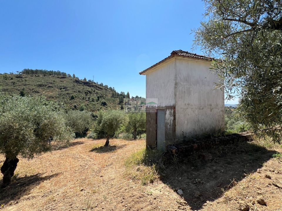 Farm i Alfandega da Fe, Braganca - foto 5