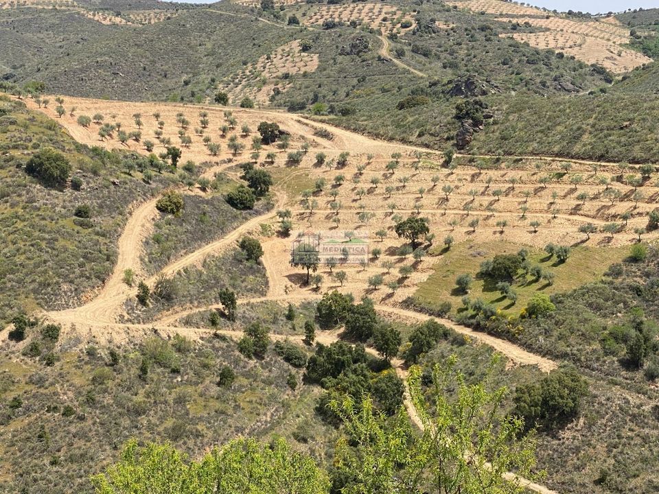 Farm i Alfandega da Fe, Braganca - foto 1