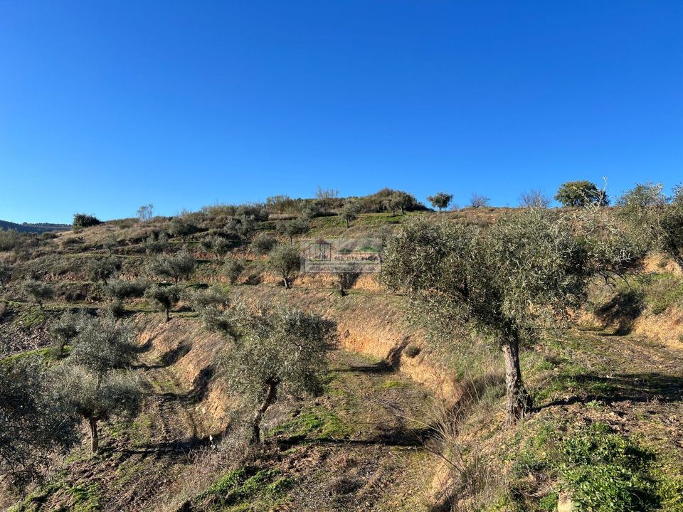 Farm i Alfandega da Fe, Braganca - foto 3