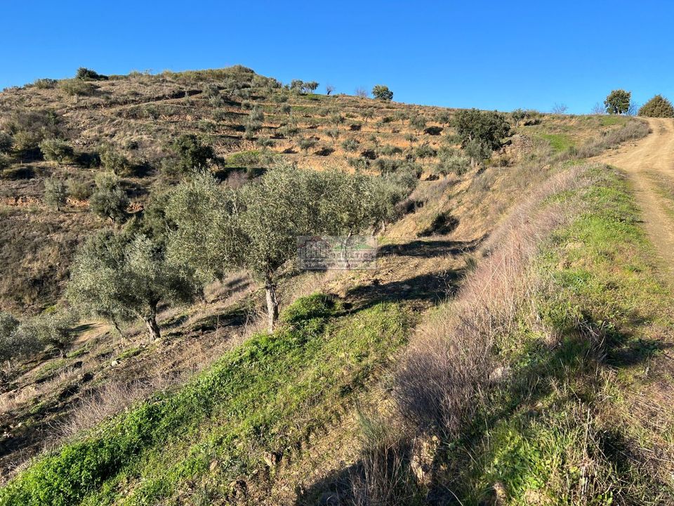 Farm i Alfandega da Fe, Braganca - foto 4