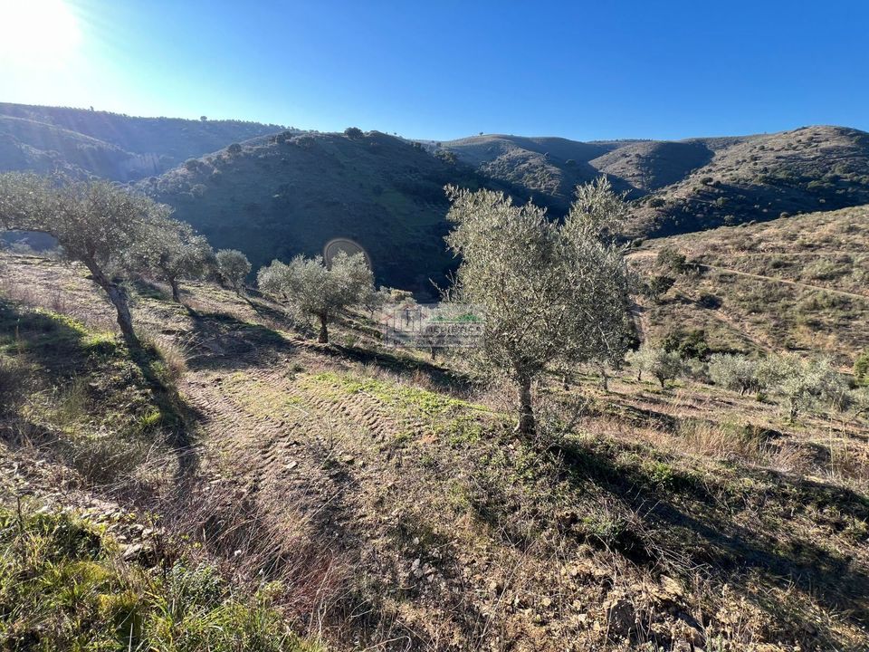 Farm i Alfandega da Fe, Braganca - foto 5