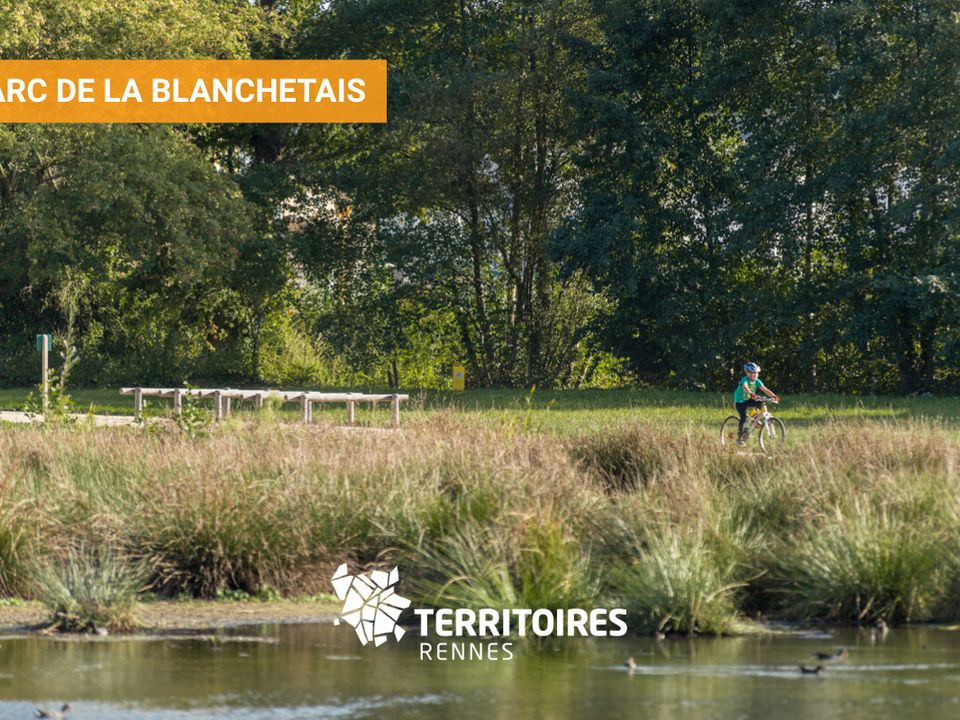 Helårsgrund i Orgères, Ille-et-Vilaine - foto 5