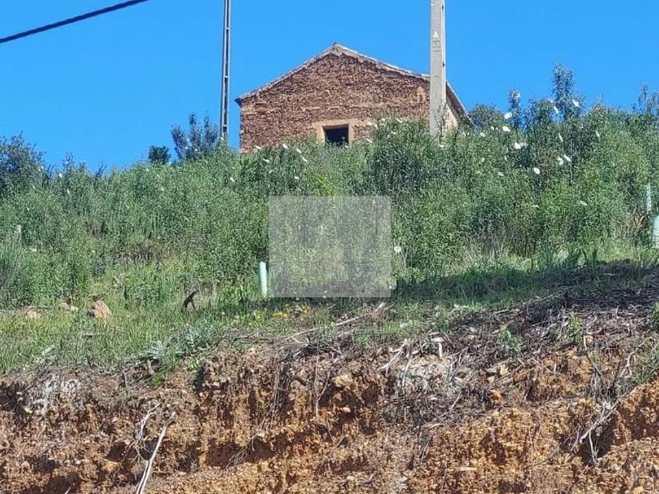 Farm hus i Silves, Faro - foto 4