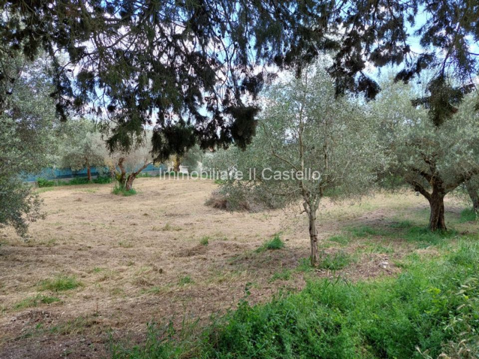 Tomt i Passignano Sul Trasimeno, Perugia - bilde 3