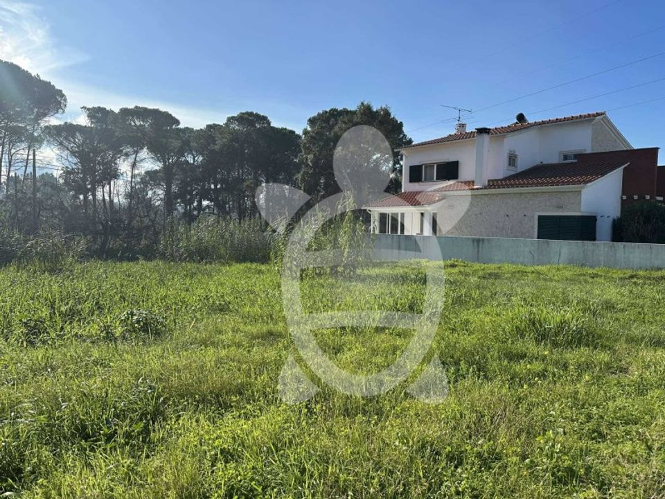 Helårsgrund i Condeixa-a-Nova, Coimbra - foto 4