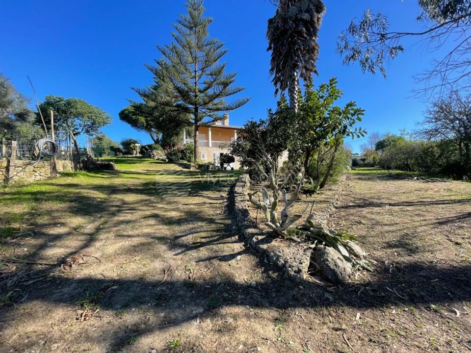 Gospodarstwo: Sesimbra, Setubal – zdjęcie 5