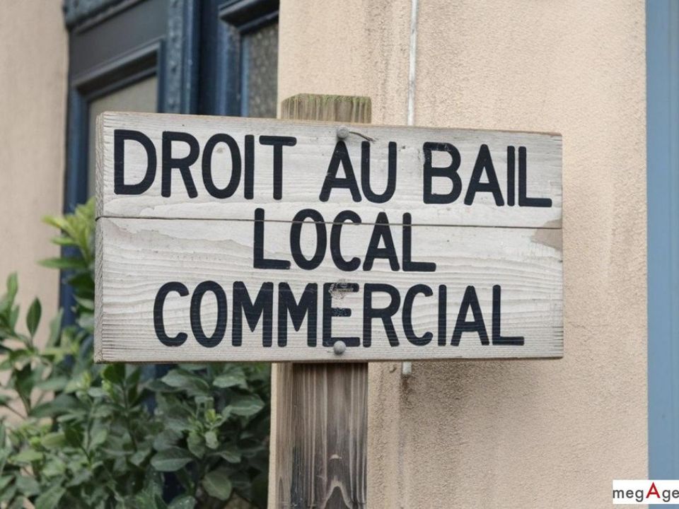 Erhvervsejendom i Les Sables-d'Olonne, Vendee - foto 1