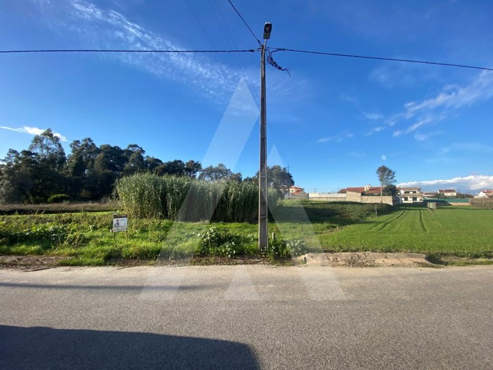Helårsgrund i Fermentelos, Aveiro - foto 4