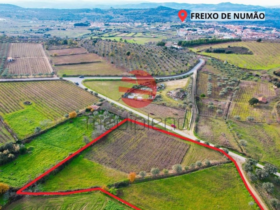 Helårsgrund i Freixo de Numao, Guarda - foto 5